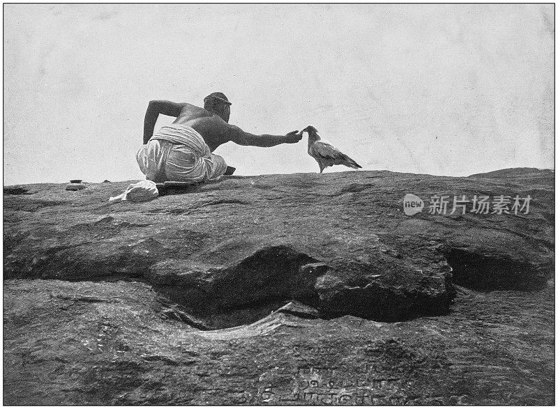 大英帝国的古老照片:在Turnkali Koondrum喂神圣的风筝